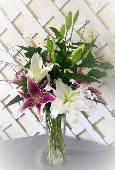 Stunning Lilies