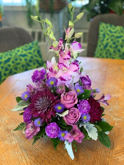 Purple Delight